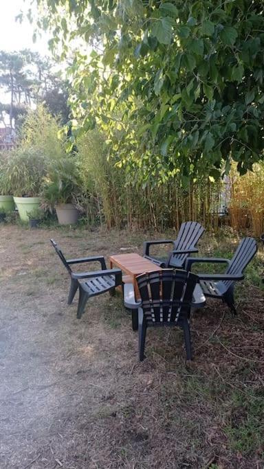 400M De La Plage Maison 3 Chambres Avec Jardin 圣乔治德蒂 外观 照片